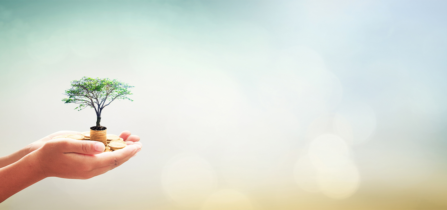Hands cupped together holding a small tree