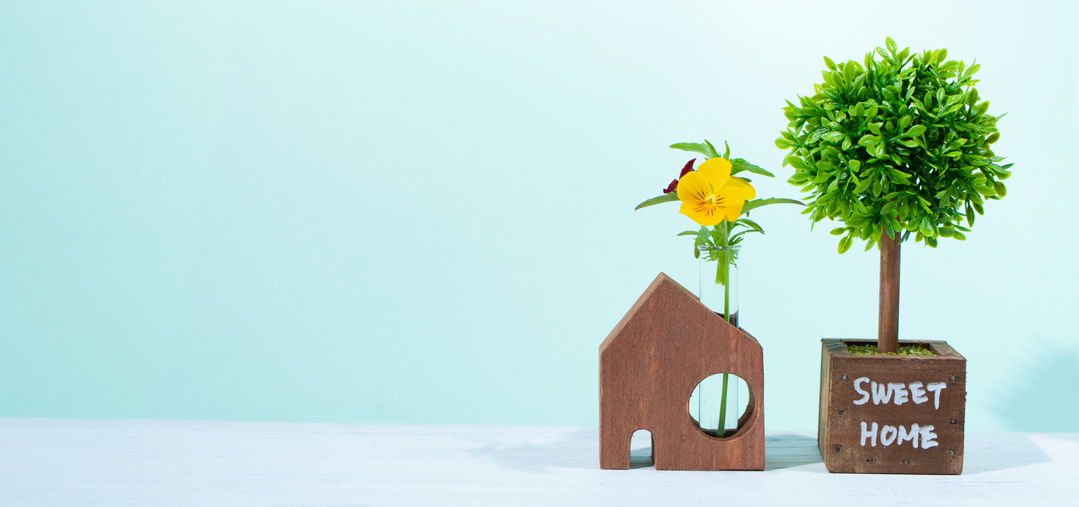 wooden house with a tree